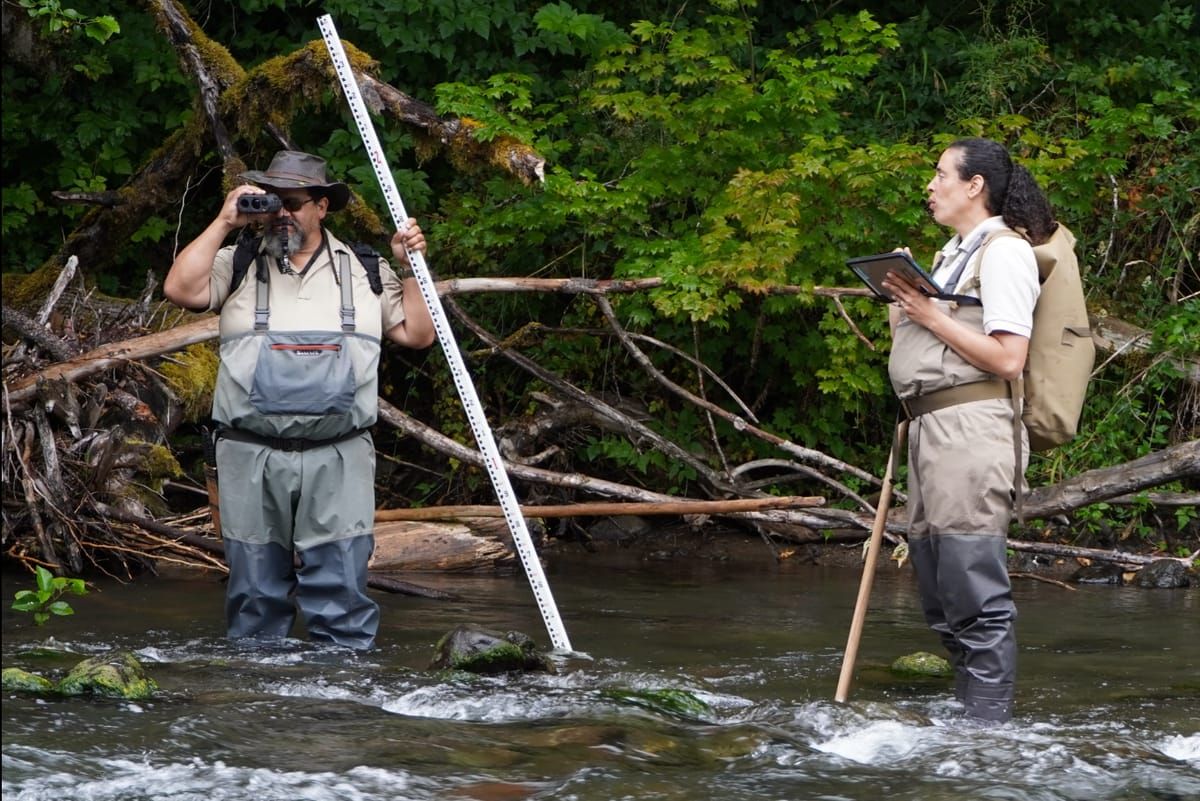 Big Quilcene River