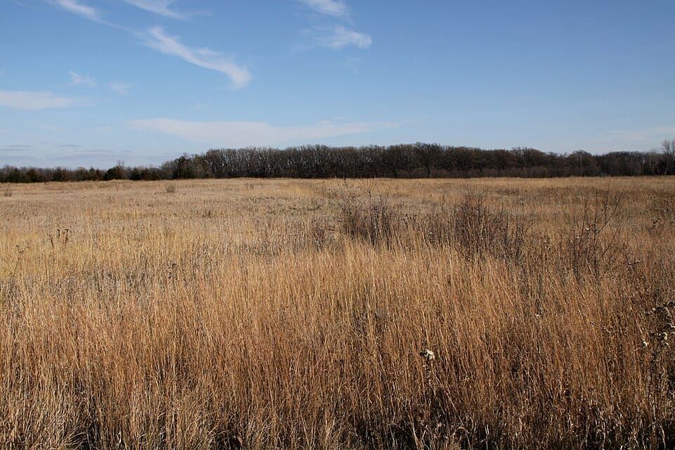 Birch Coulee Creek