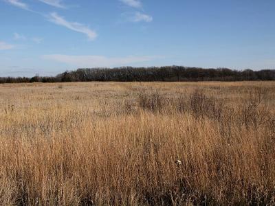 Birch Coulee Creek