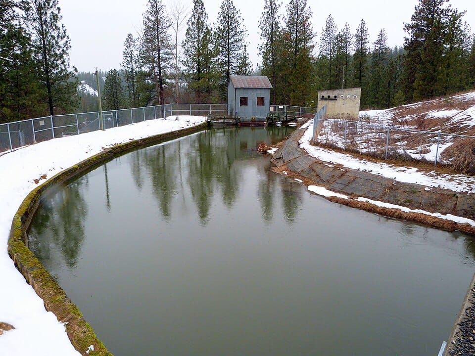 Colville River