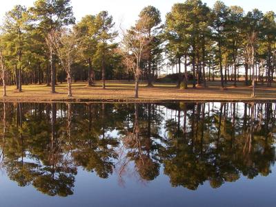 Lake Wilson