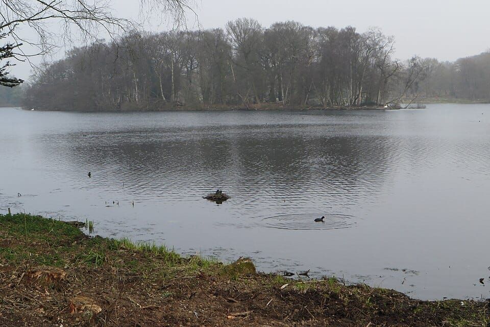 Trentham Lake