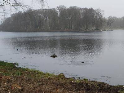 Trentham Lake