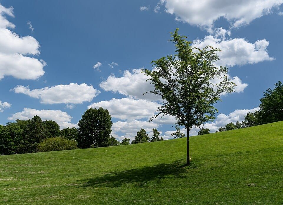 Riverwalk Park