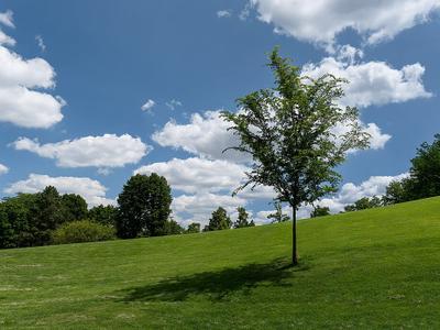 Riverwalk Park