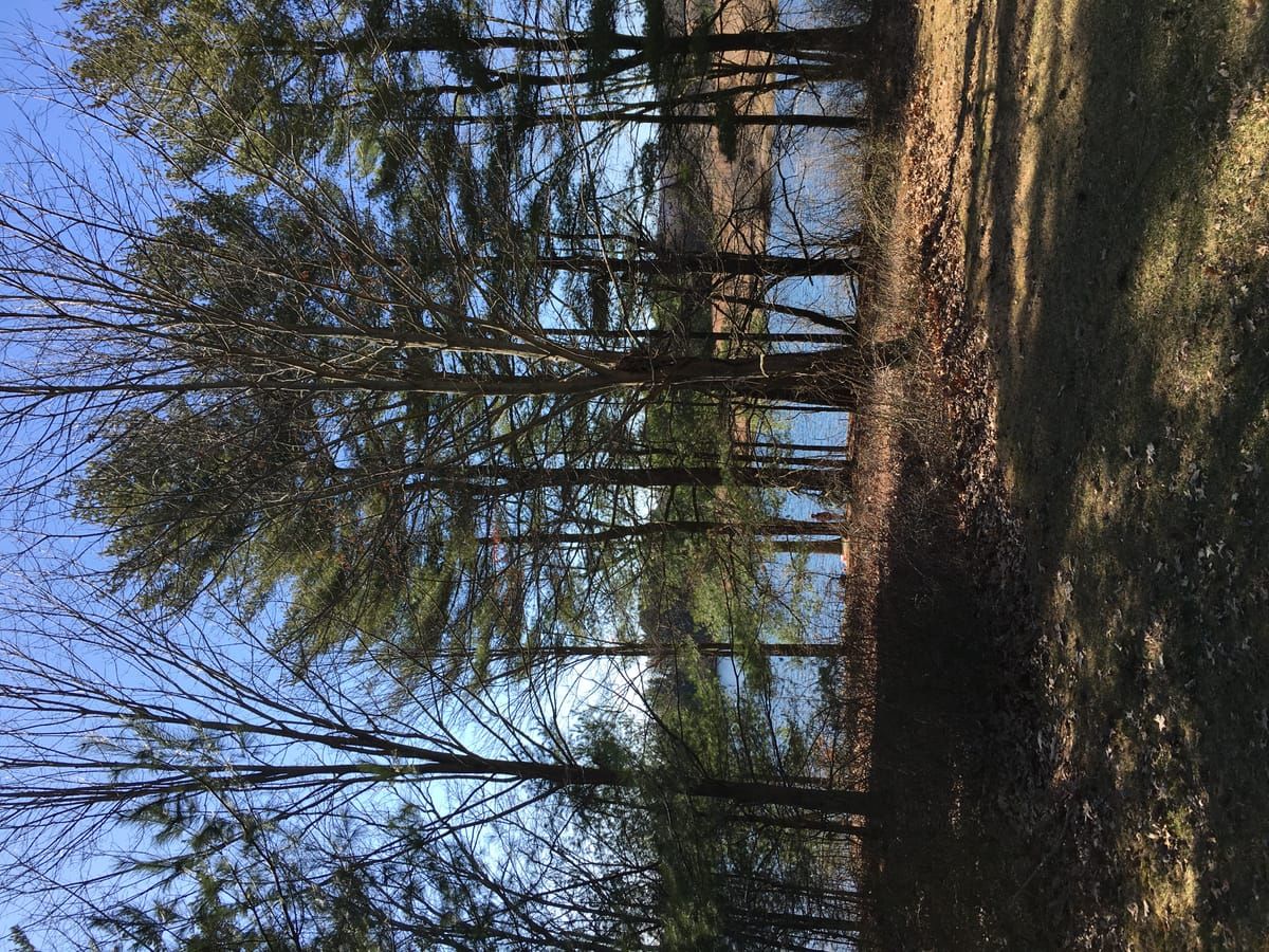 Lake Beltzville Poconos