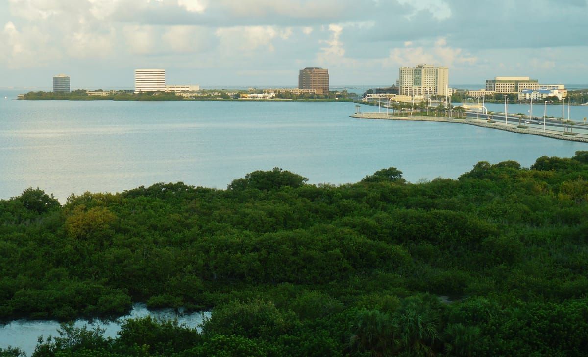 Ben T Davis beach