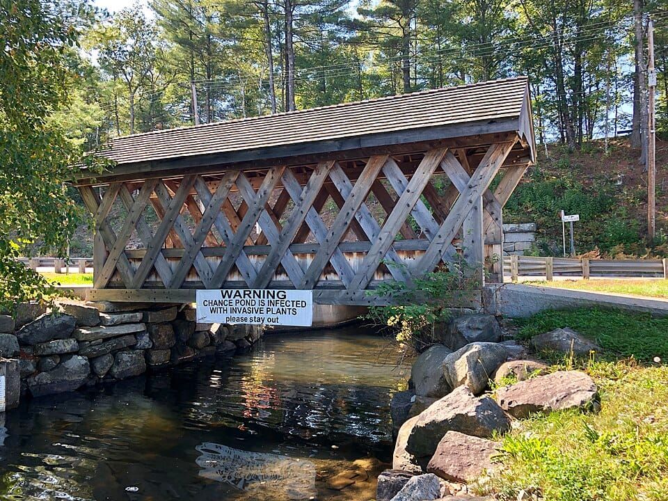 Webster Pond