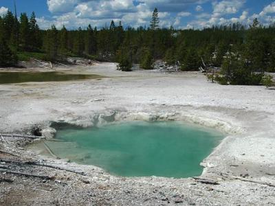 Mud Spring
