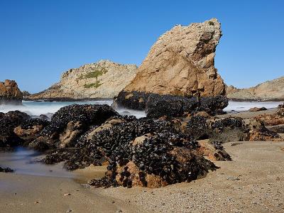 McClures Beach