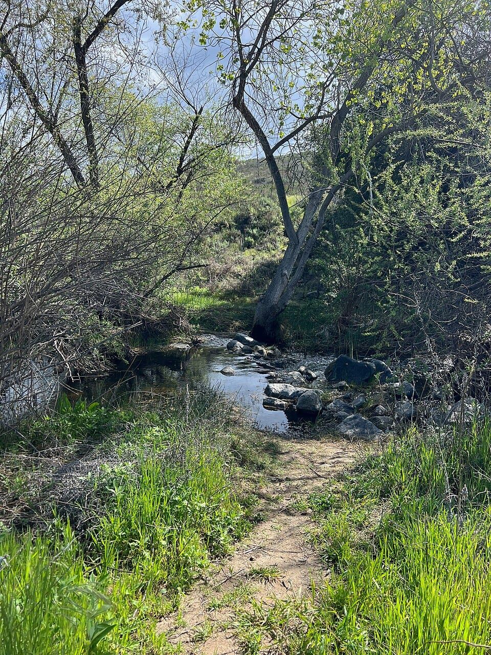 Warm Springs Creek