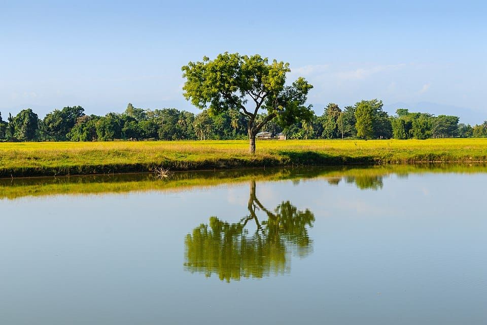 Pond 17