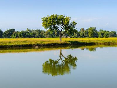 Pond 17