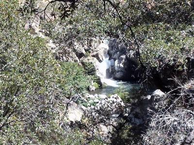 Deer Creek Conservation Area