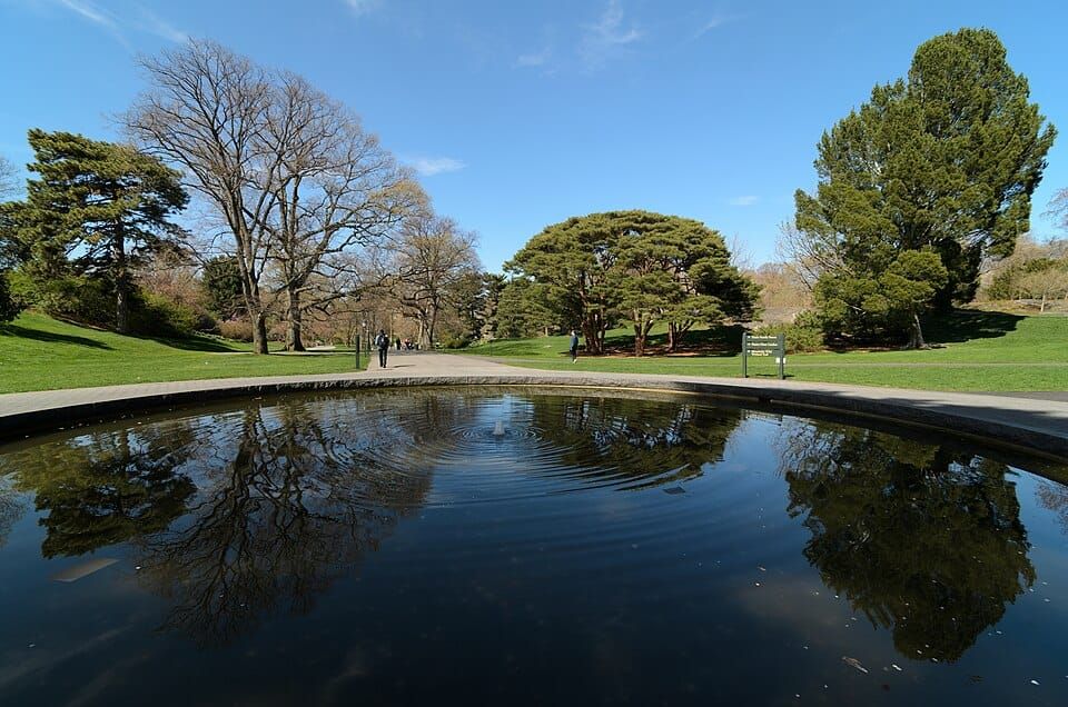 The Pool