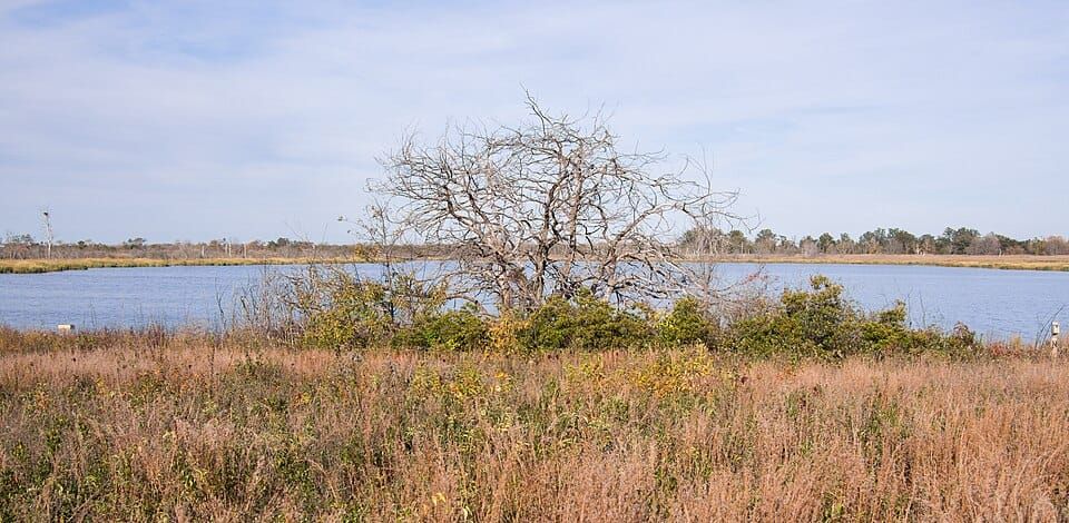 West Pond