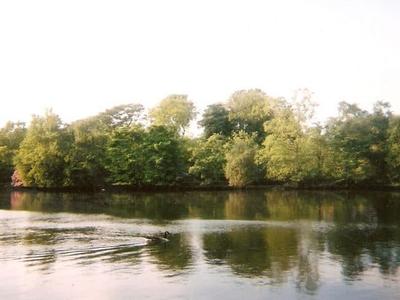 Rhodes Lake