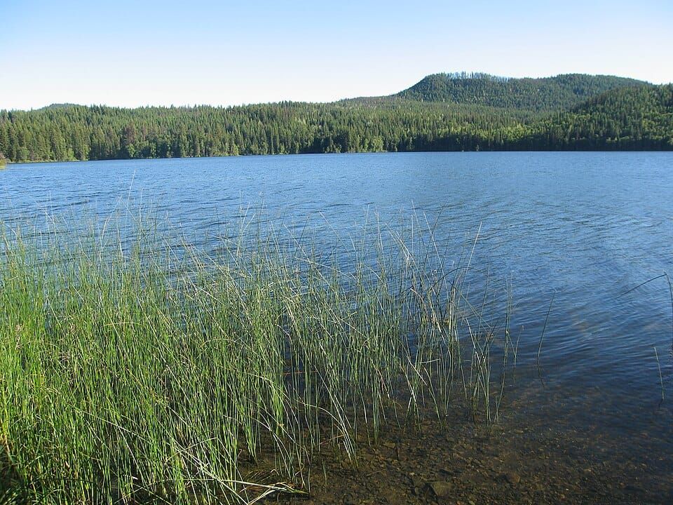 Howard Lake