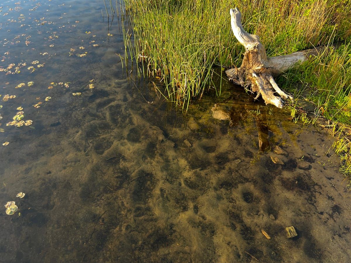 Lake Ballinger