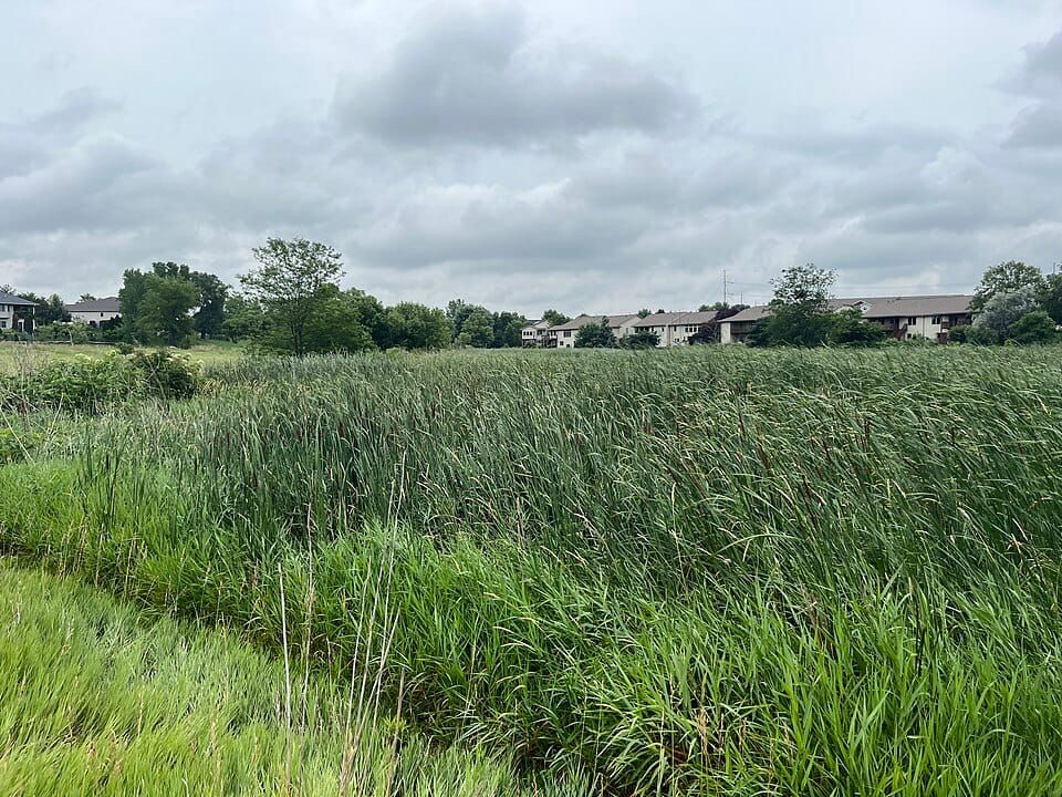 Antelope Creek