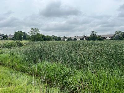 Antelope Creek