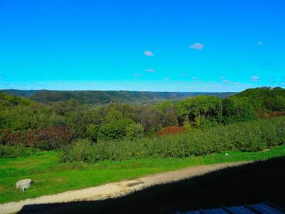 Mills River Valley Overlook