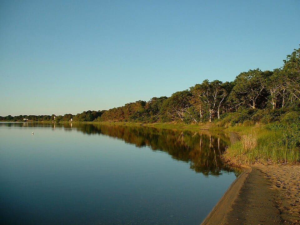 Davis Pond