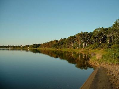 Davis Pond