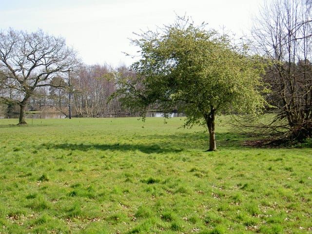 Blackwood Lake