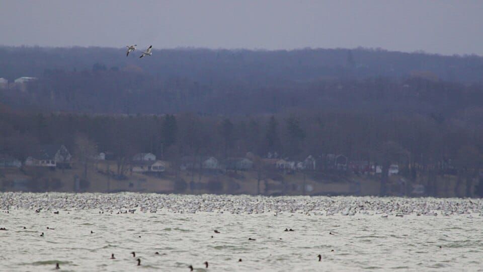 Cayuga Lake State Park Lodge