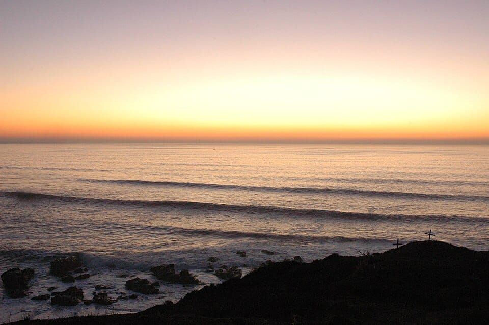 Ross' Cove