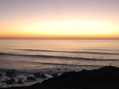 Ross' Cove