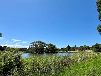 Willow Pond