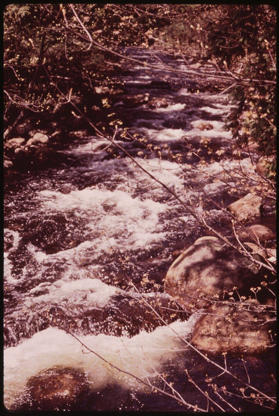 Moose river