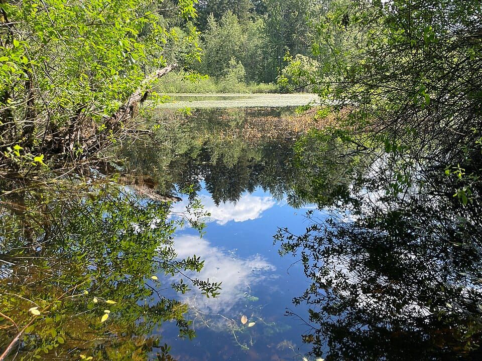 Mirror Lake