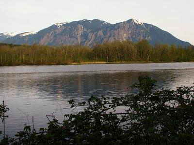 Borst Lake