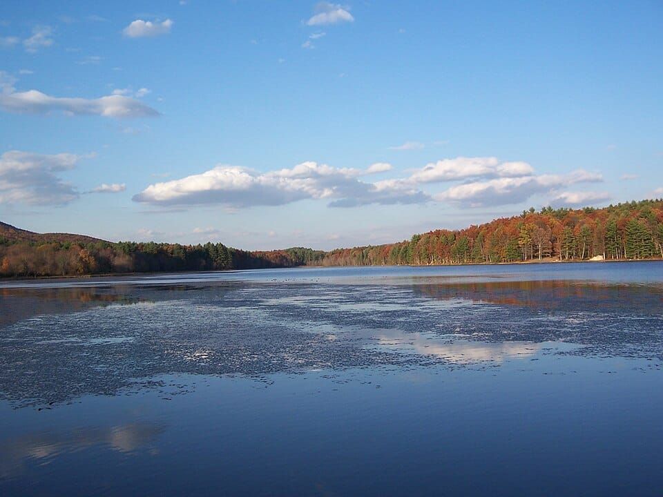 Kimsey Run Lake