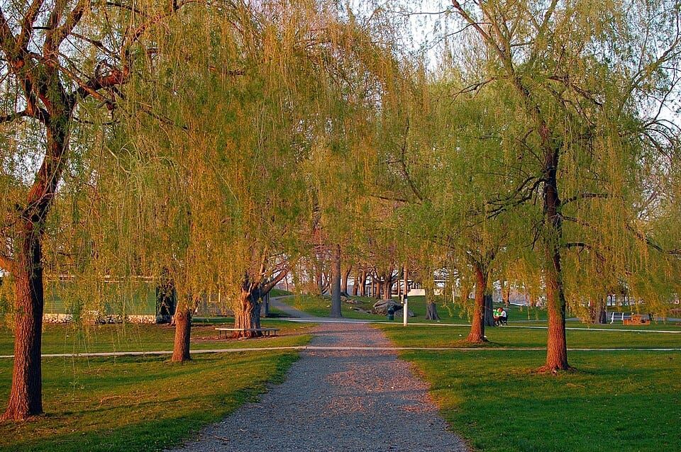 Salem Willows Beach