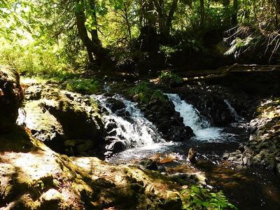 Kennedy Creek