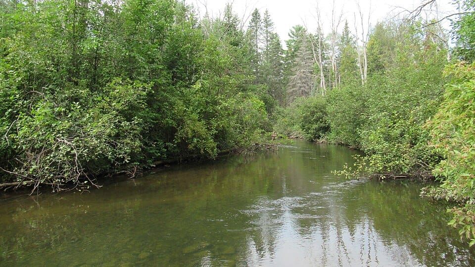 Rifle River