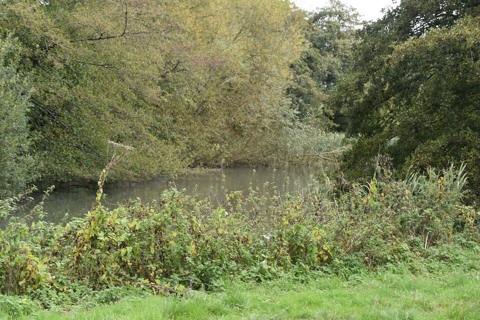 Langley Pond
