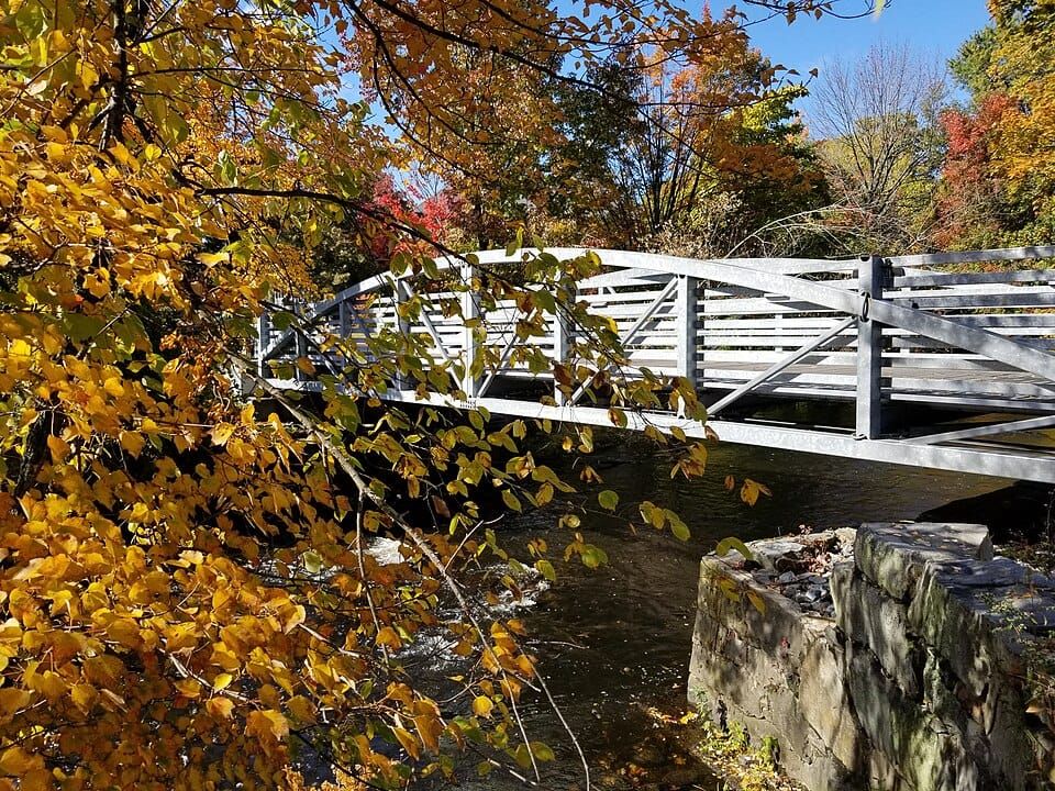 Downtown River Trail