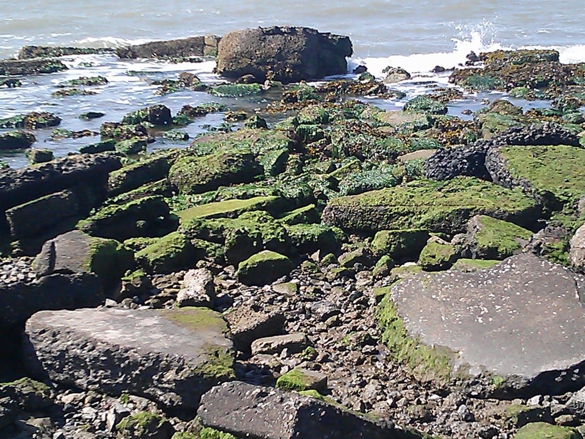 Point Emery