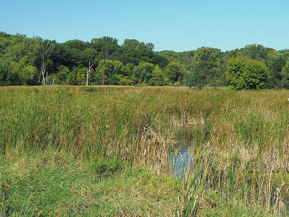 Woods Reservoir