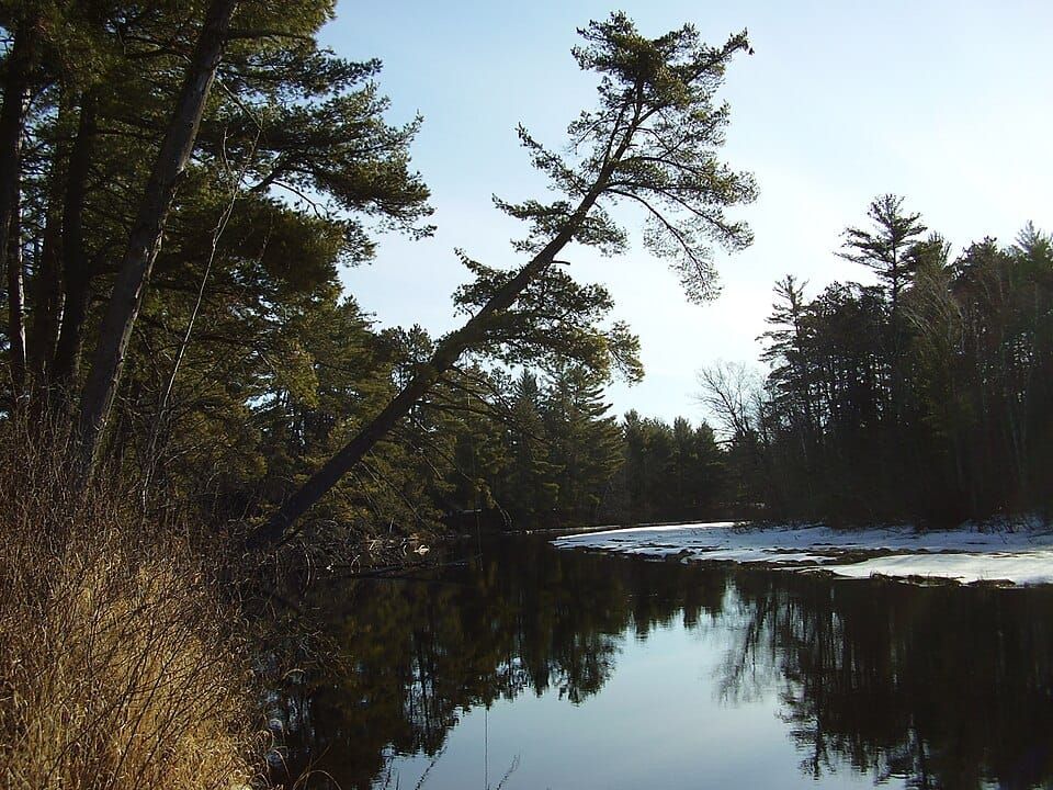 Manitowish River