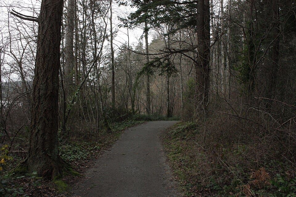 Vancouver Lake Regional Park