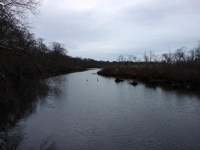 Carmans River