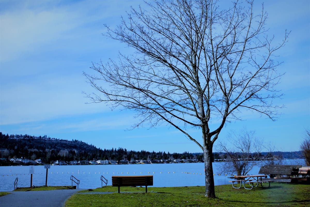 Lake Sammamish State Park