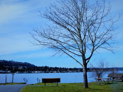 Lake Sammamish State Park
