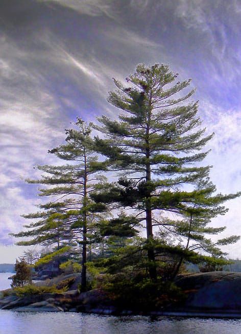 Stony Lake